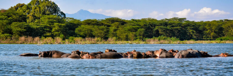 1 Day Lake Nakuru National Park2