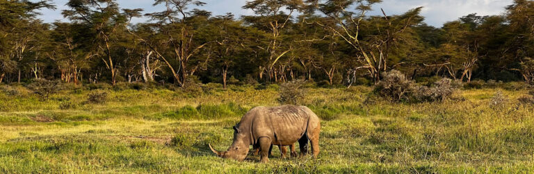 1 Day Lake Nakuru National Park3