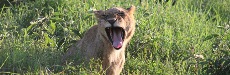 1 Day Lake Nakuru National Park4