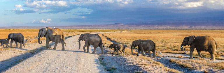2 Days Amboseli National Park1