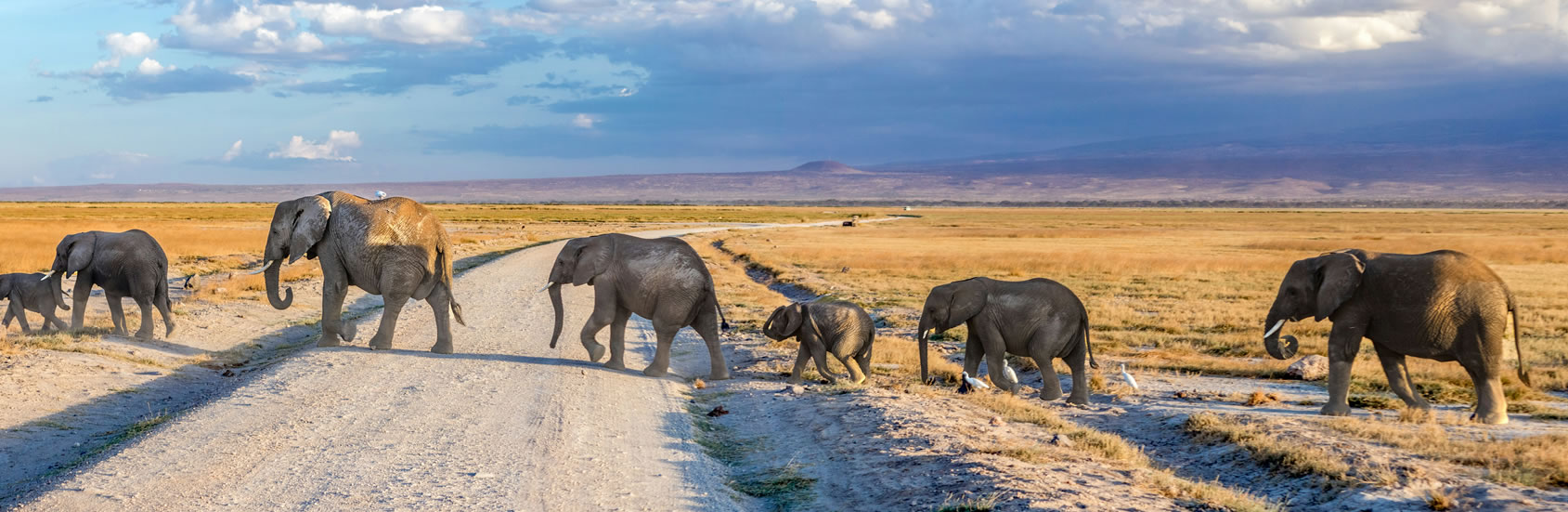 Read more about the article 5 Days: Amboseli, Tsavo West, Tsavo East National Park