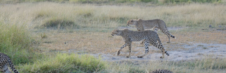 2 Days Amboseli National Park2