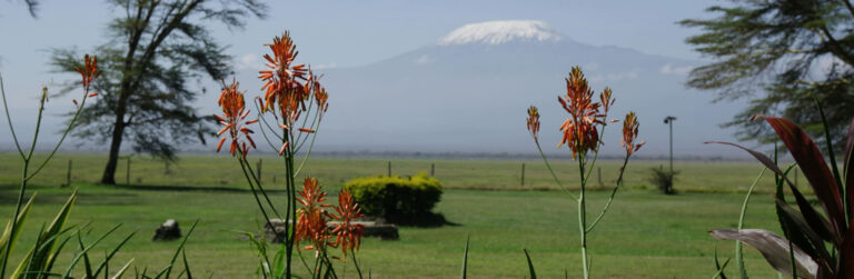 2 Days Amboseli National Park4