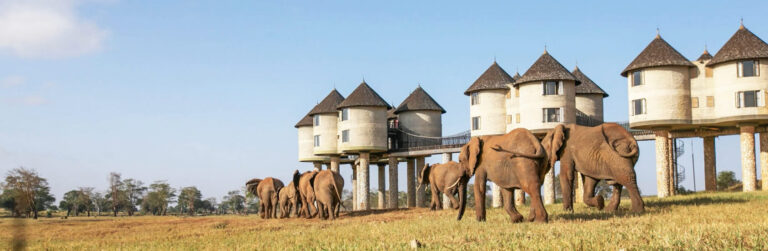 2 days Tsavo East and Taita Hills Santuary5