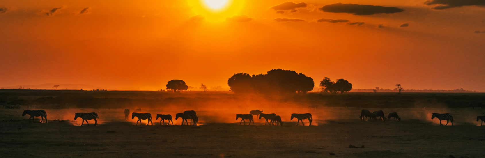 Read more about the article 3 Days  Tsavo West and Tsavo East