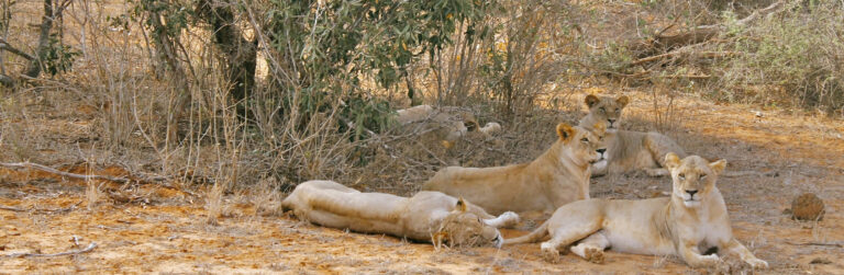 3 Days Tsavo West and Tsavo East4