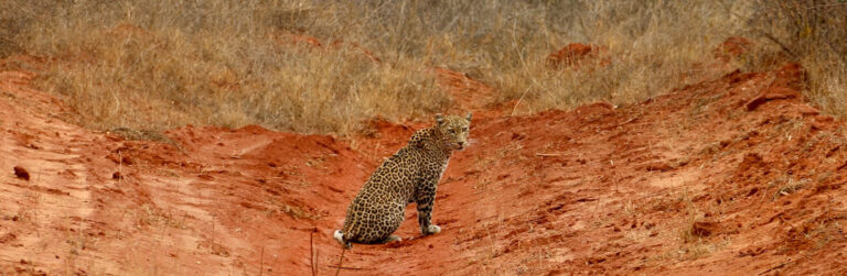 3 Days Tsavo West and Tsavo East5