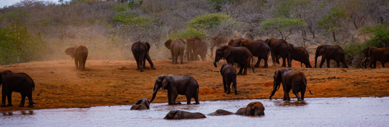 3 Days Tsavo West and Tsavo East7