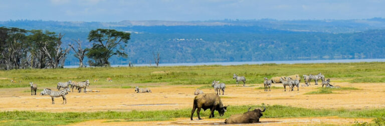 3 days Lake Nakuru National Park2