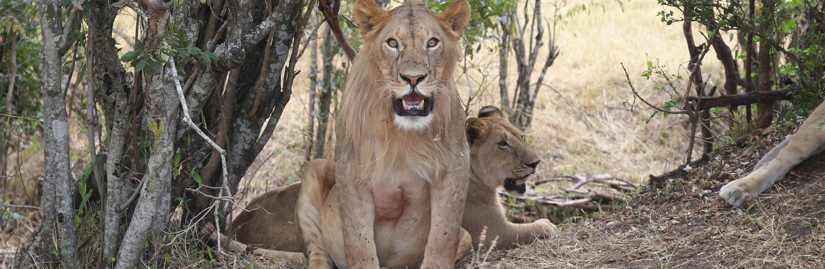 Read more about the article 8 Days – Through the Lens: Kenya’s Great Safari Story
