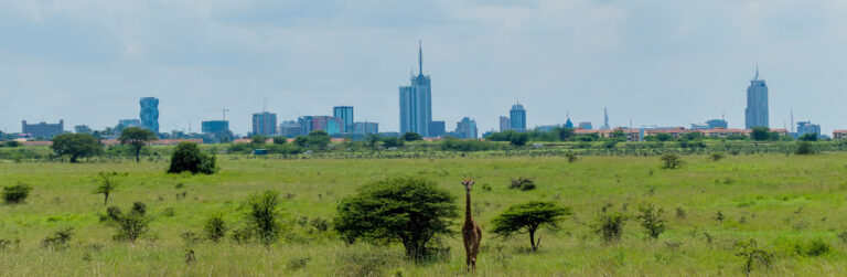 Full-Day Game Viewing In Nairobi National Park1