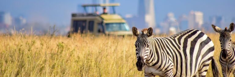 Full-Day Game Viewing In Nairobi National Park2