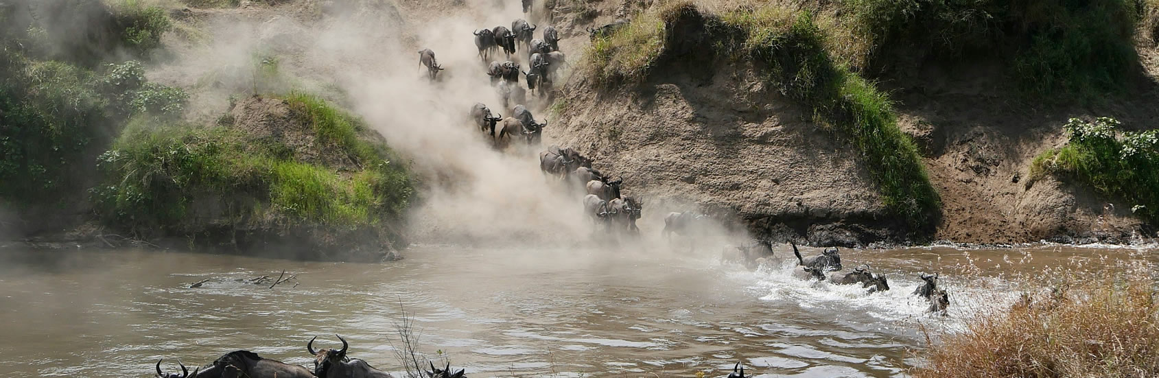 Read more about the article 4 Days: Masai Mara National Reserve