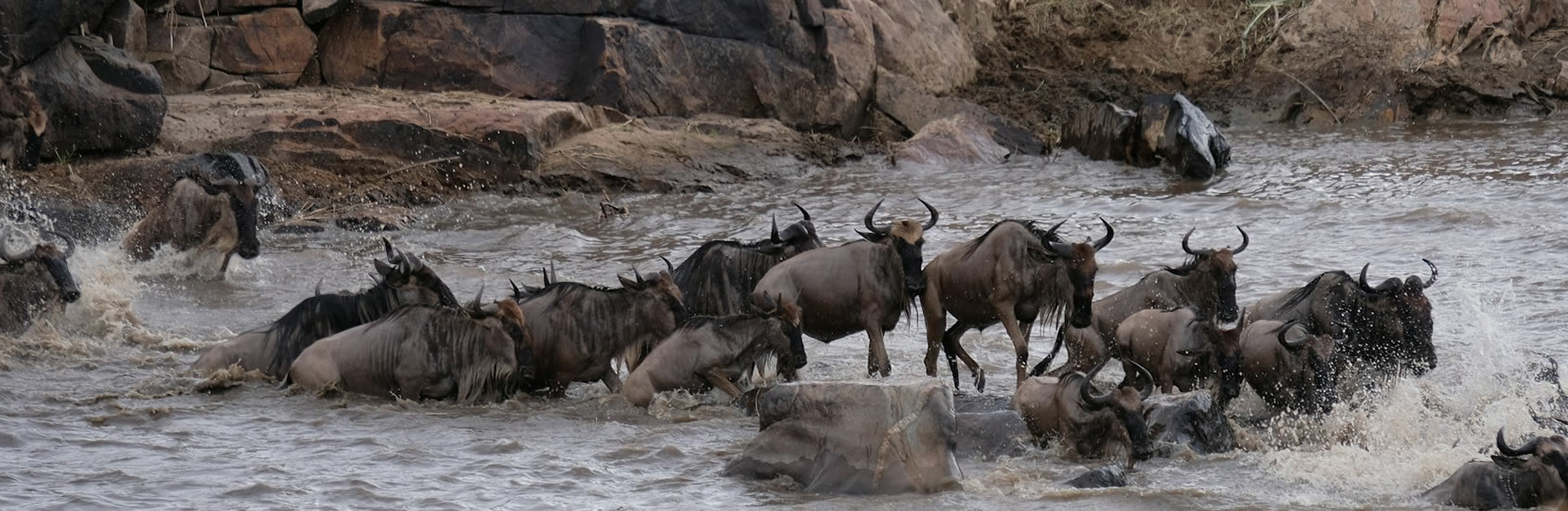 Read more about the article 4-Day Wild Heart of Kenya Safari