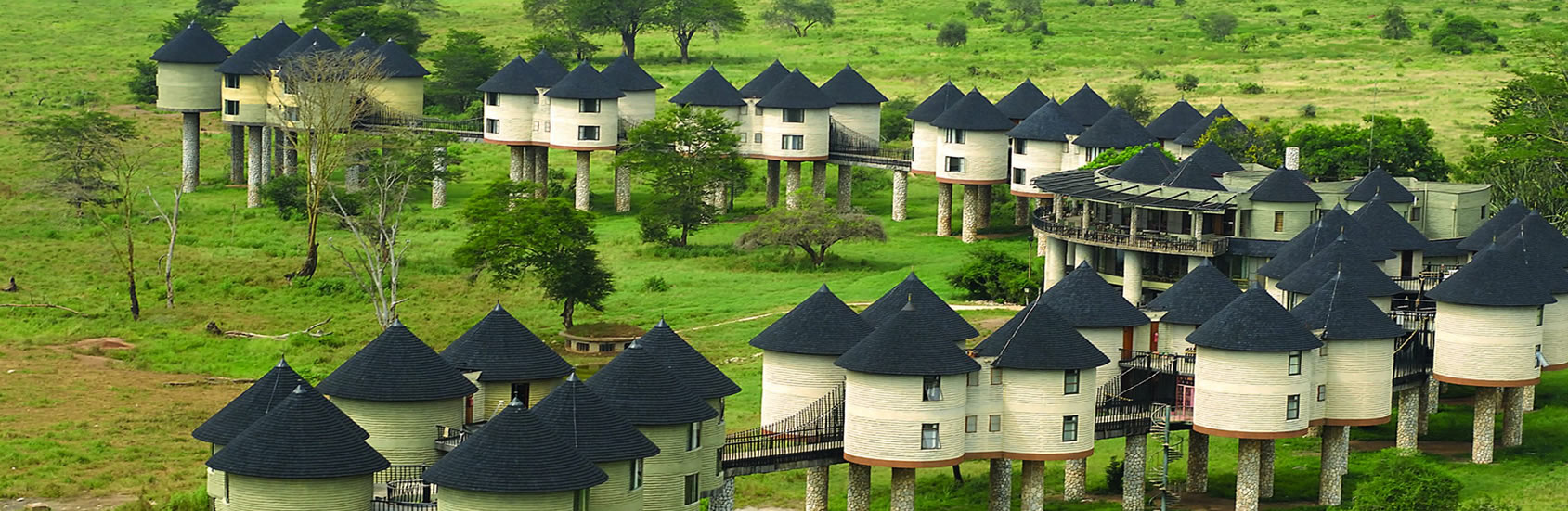 Read more about the article 2 Days Ngutuni and Taita Hills