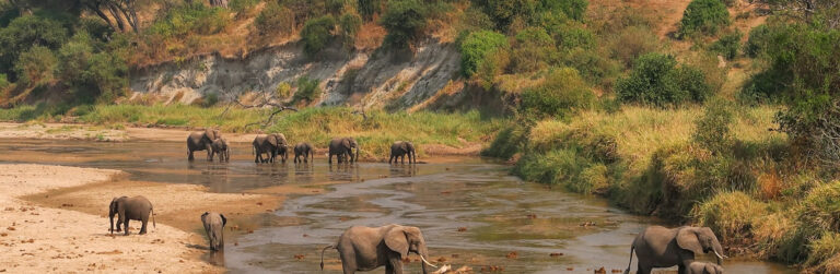 samburu national park1